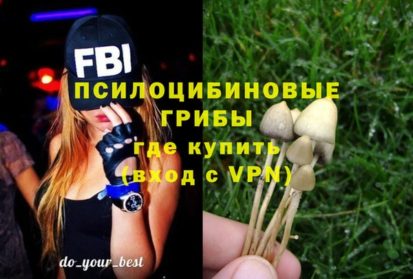 синтетический гашиш Бородино