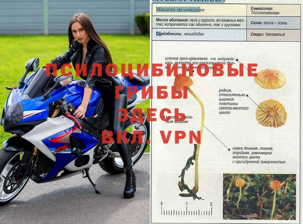 синтетический гашиш Бородино